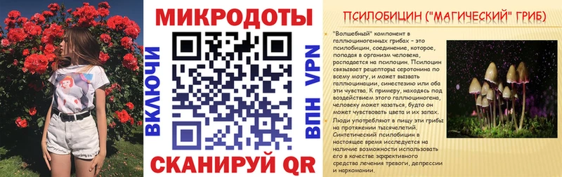 Галлюциногенные грибы Psilocybe  купить закладку  Самара 